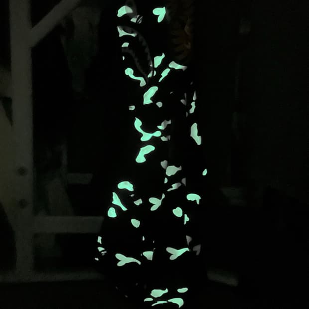 베이프 시티카모 타이커 샤크 후드집업(정품)