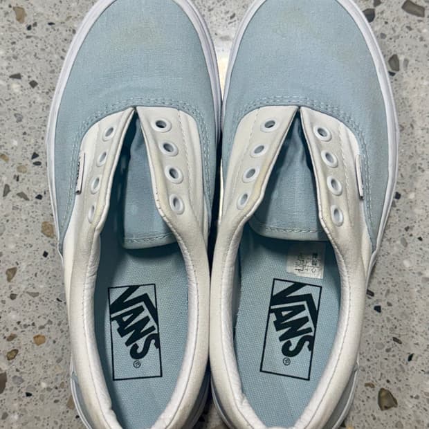 Mint Vans