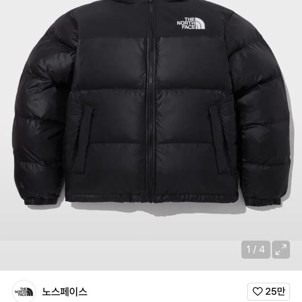 노스페이스 패딩