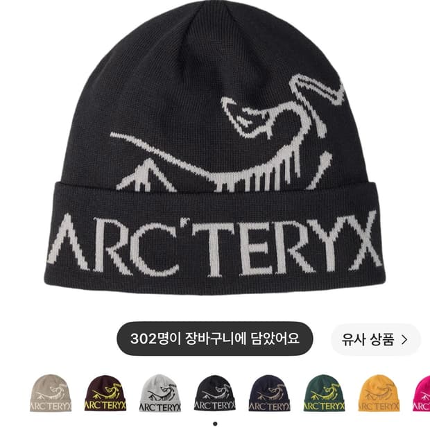 아크테릭스 비니 버드 워드 토크 블랙 보이드 블랙