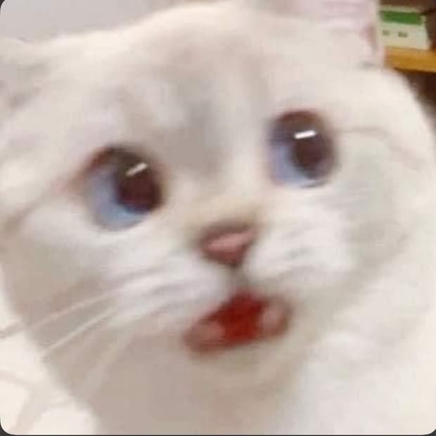 옷장정리 하구있어욤,,