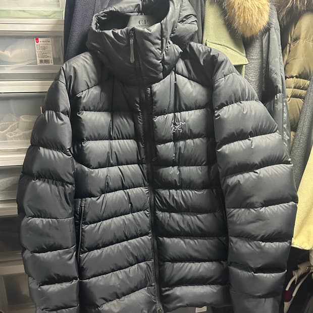 아크테릭스 토륨 후디 L