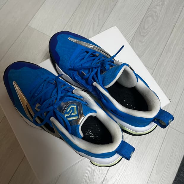 야니스 이모탈리티3 275