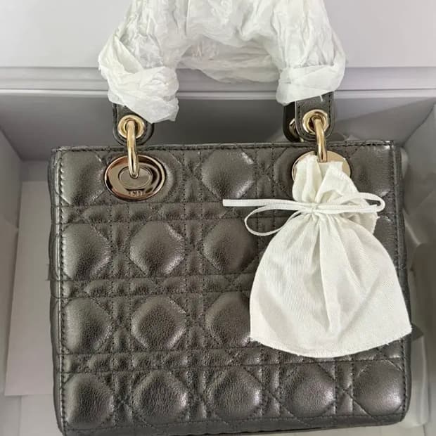 디올 레이디백 레이디디올 스몰 메탈릭실버