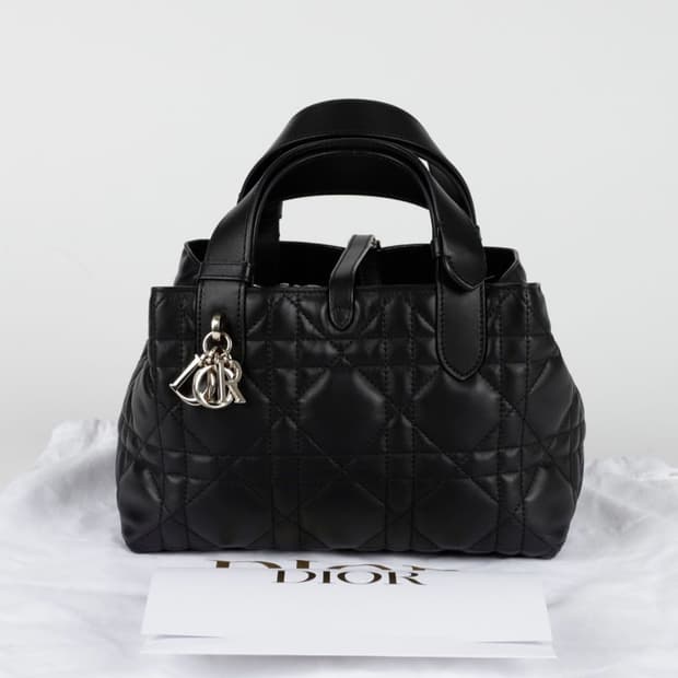 디올 뚜즈흐 스몰 블랙