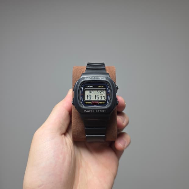 Casio DW-310