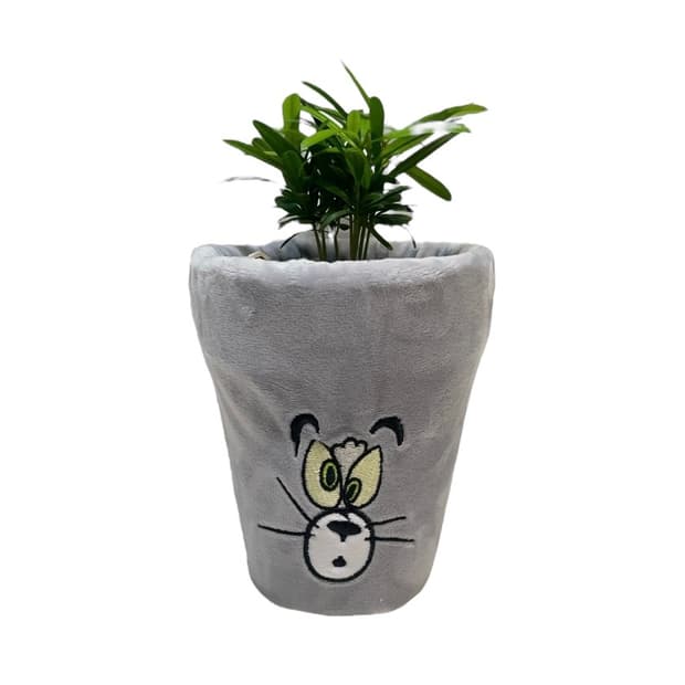 Tom & Jerry  Plant Pot 