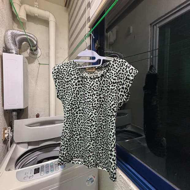 Mint leopard top