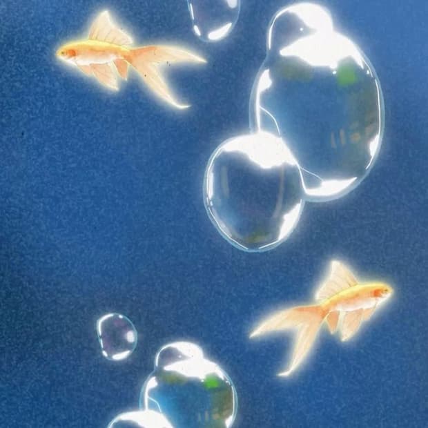 뱃지 개인결제창