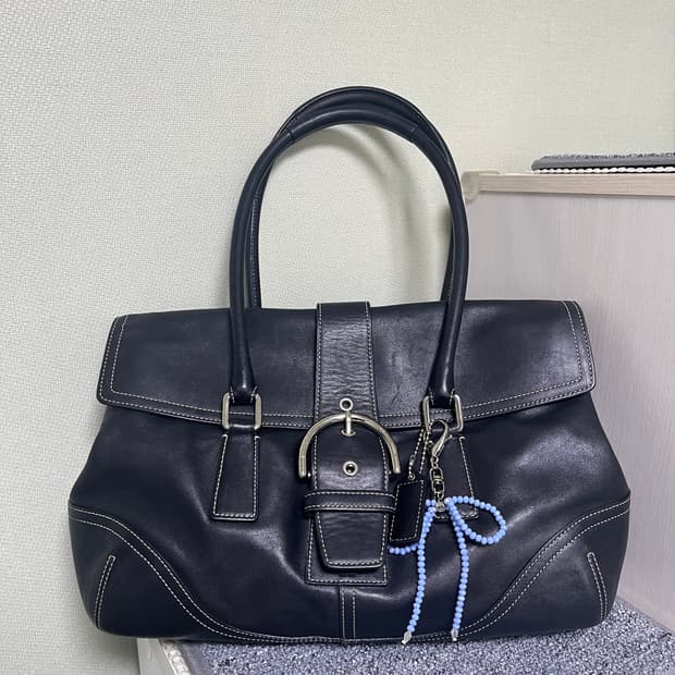 코치 빈티지 백