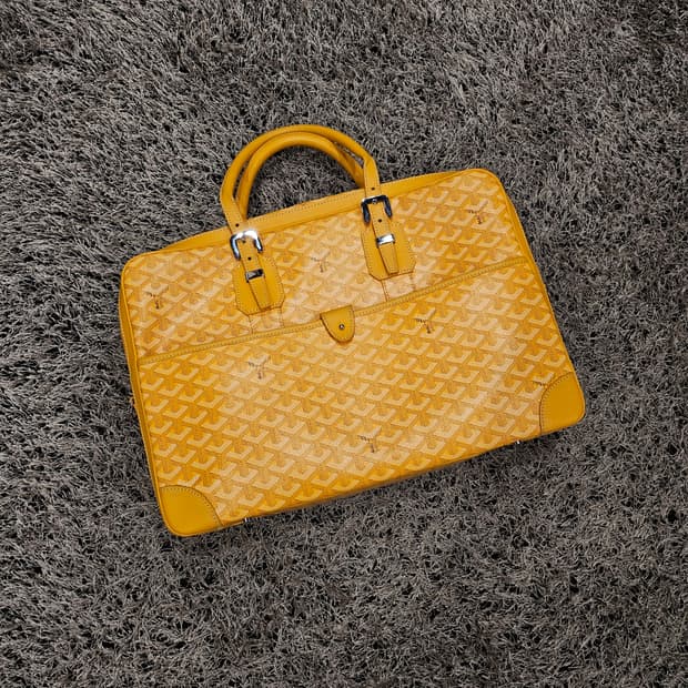 고야드 암바사드 MM 스페셜컬러 토트백