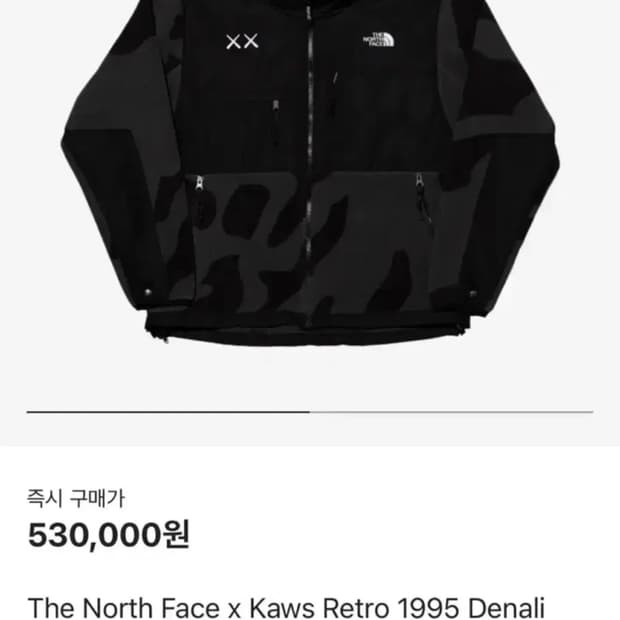 노스페이스 kaws카우스 데날리 후리스집업 xl