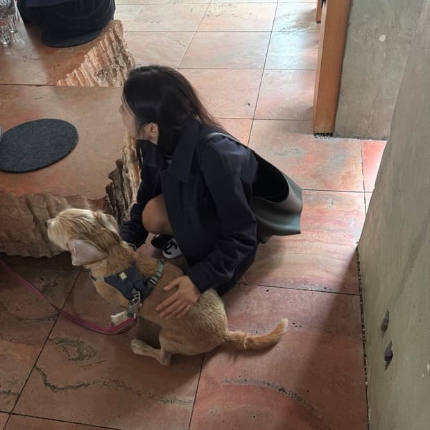 ore 오어 워크자켓 새상품