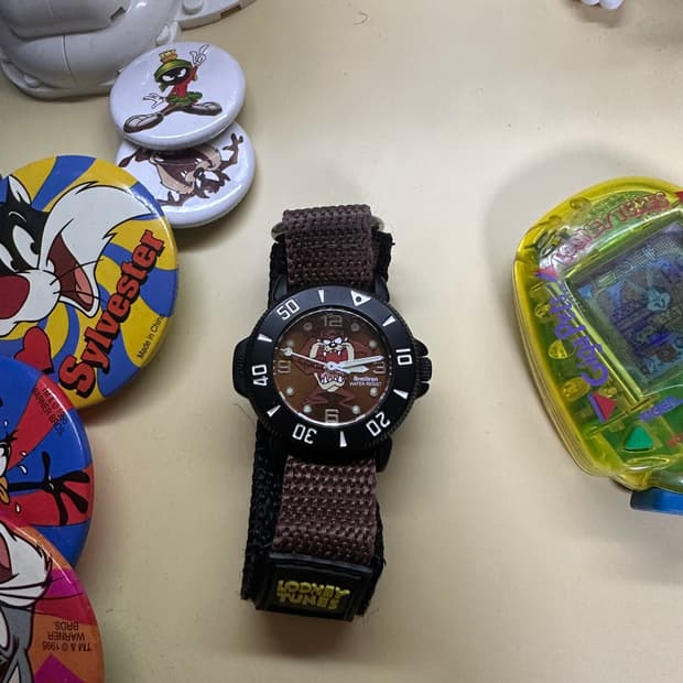 98 looney tunes taz watch