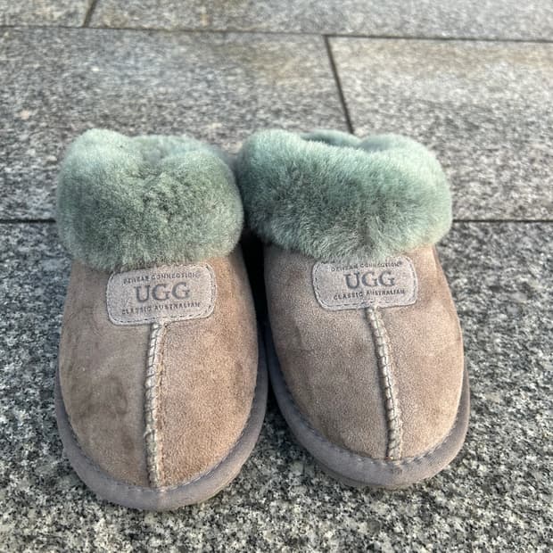 어그 뮬 코케트 240size