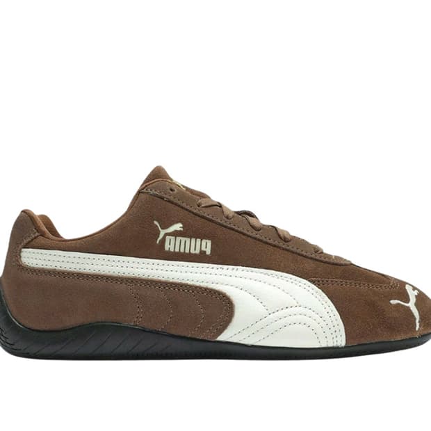 스피드캣 브라운