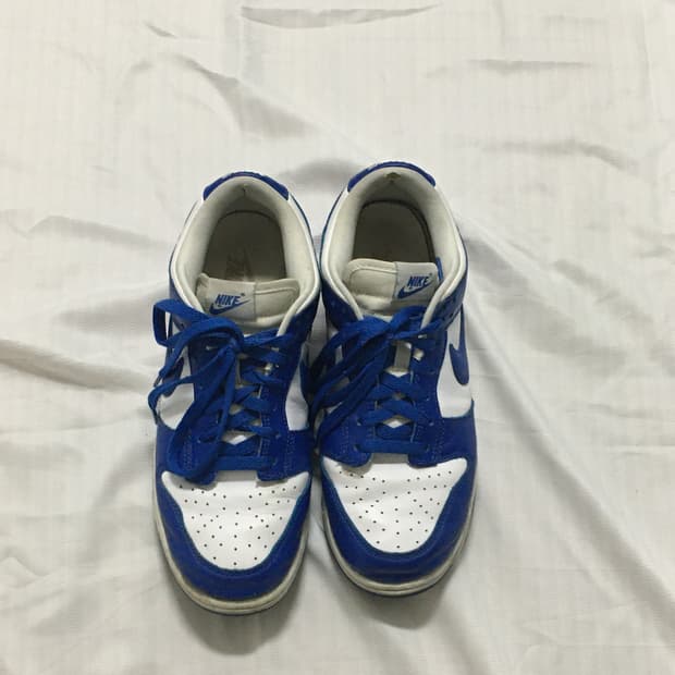 나이키 덩크 265