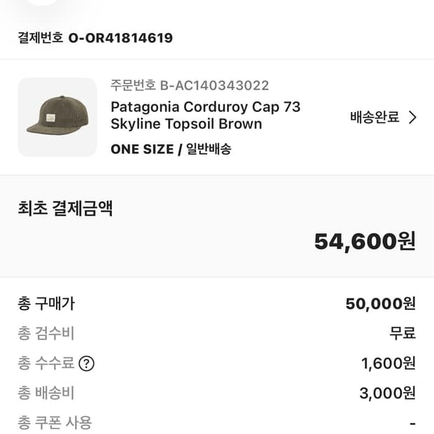 파타고니아 코듀로이 캡모자 원사이즈 브라운