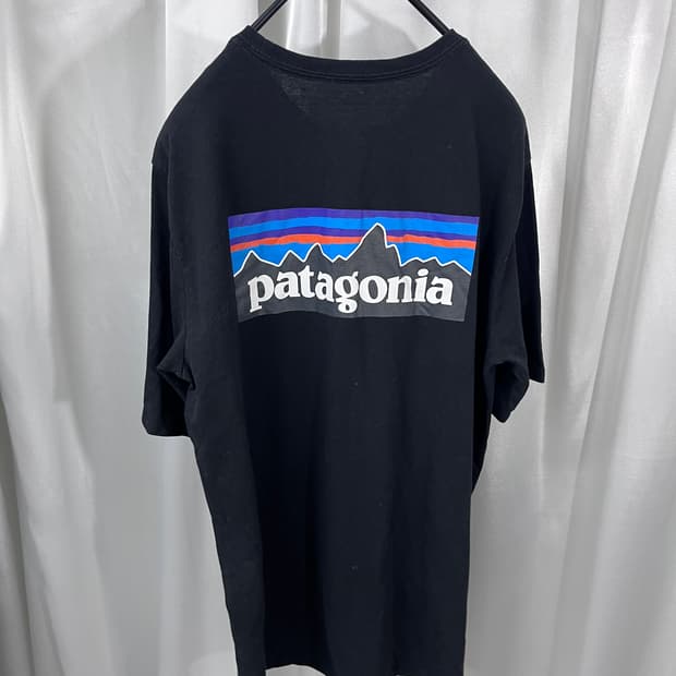patagonia