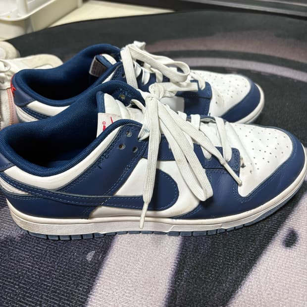 나이키 덩크 로우 레트로 발레리안 블루