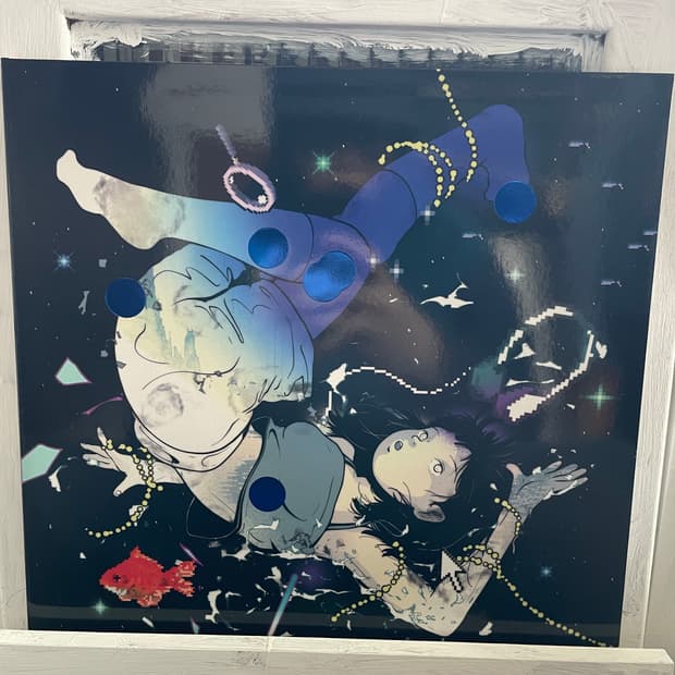 한로로 이상비행 LP(초판)