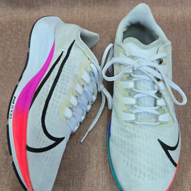 나이키 265mn- 에어 줌 페가수스 37  바이올렛 스프루스 아우라