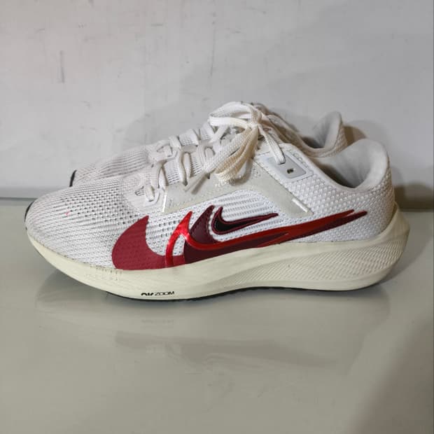 255mm 나이키 페가수스 40 프리미엄 로드 런닝화