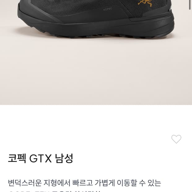 아크테릭스 코펙 GTX 남성 270