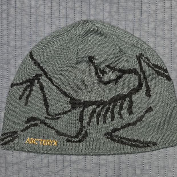 아크테릭스 버드 헤드 토크