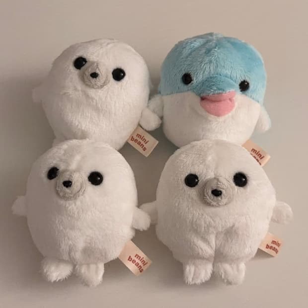 일본 미니빈즈 물범 돌고래 인형 minibeans 물개