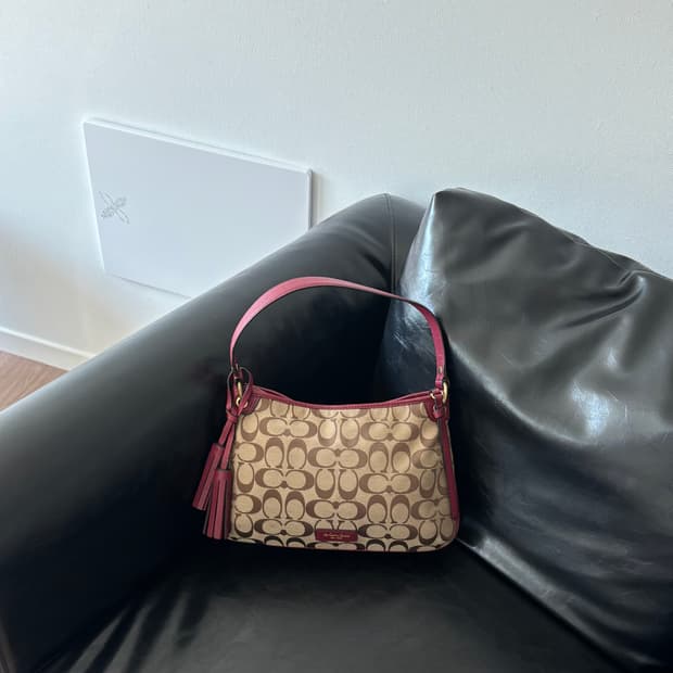 Coach Signature Canvas Hobo