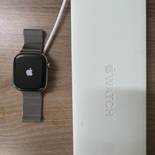 애플워치 10 티타늄 내추럴 46mm 밀레니즈루프 + 애캐플