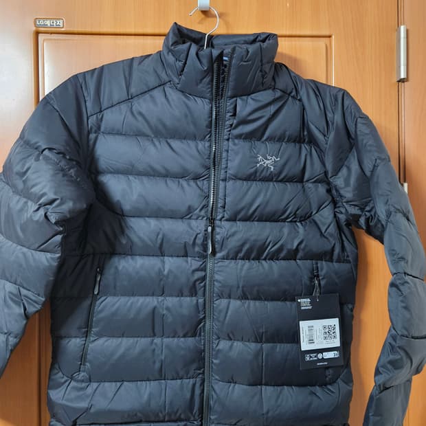 아크테릭스 토륨 L 새상품