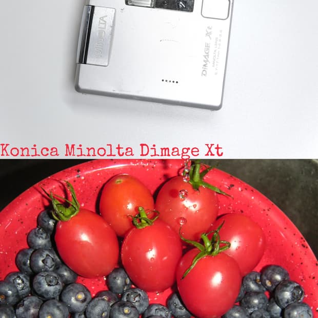 Konica Minolta Dimage Xt