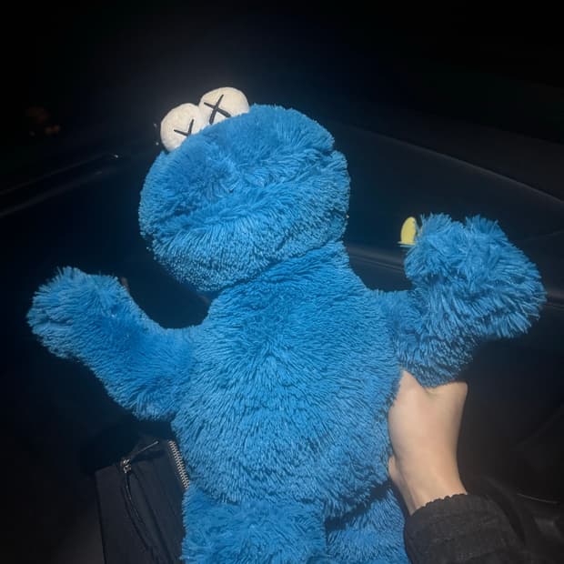 카우스 쿠키몬스터 콜라보 인형 판매합니다