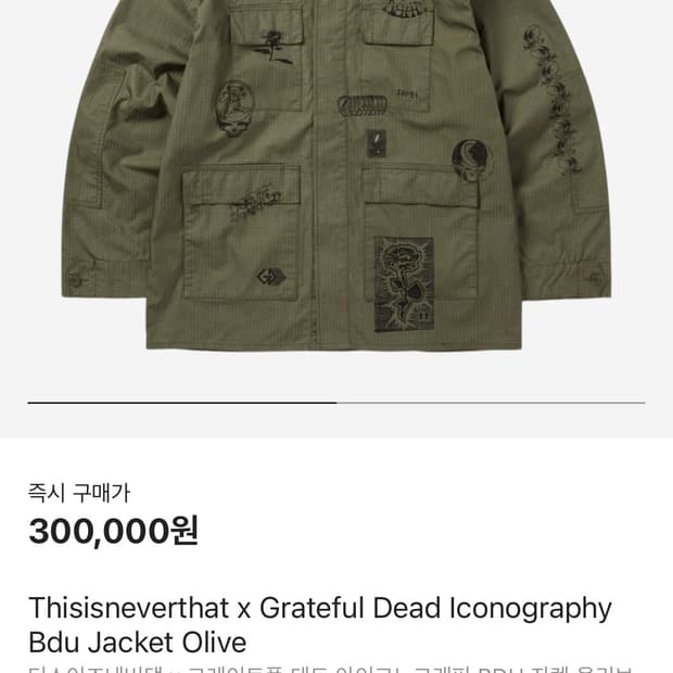 디스이즈네버댓 그레이트풀데드 BDU 자켓