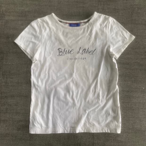 Burberry 버버리 핀터깔y2k긱시크하이틴 반팔티셔츠