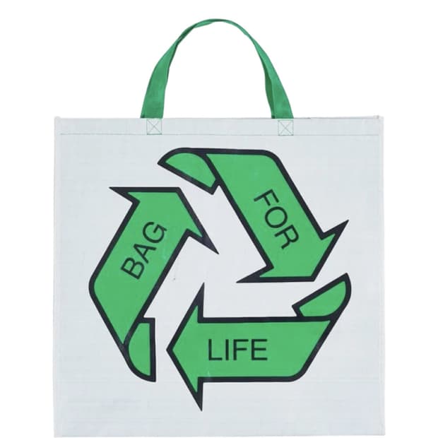 [L] 팔라스 백 포 라이프 라지