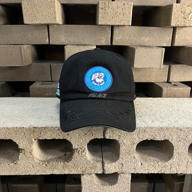 팔라스 베수비오 6-패널 캡