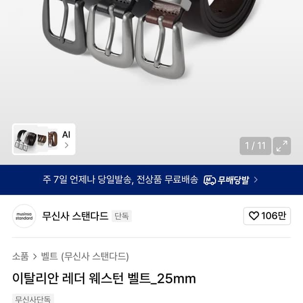 무탠다드 웨스턴 벨트