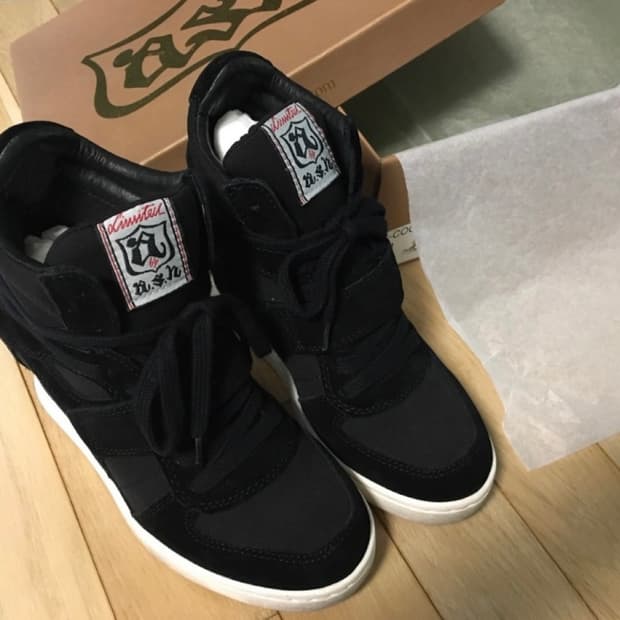 Ash 쿨웨지 스니커즈 37 새상품