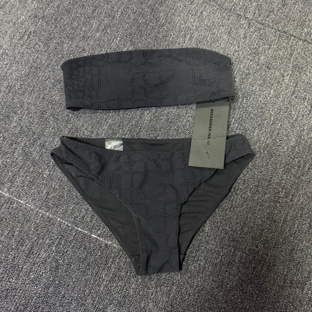 알렉산더왕 x HM 콜라보 수영복