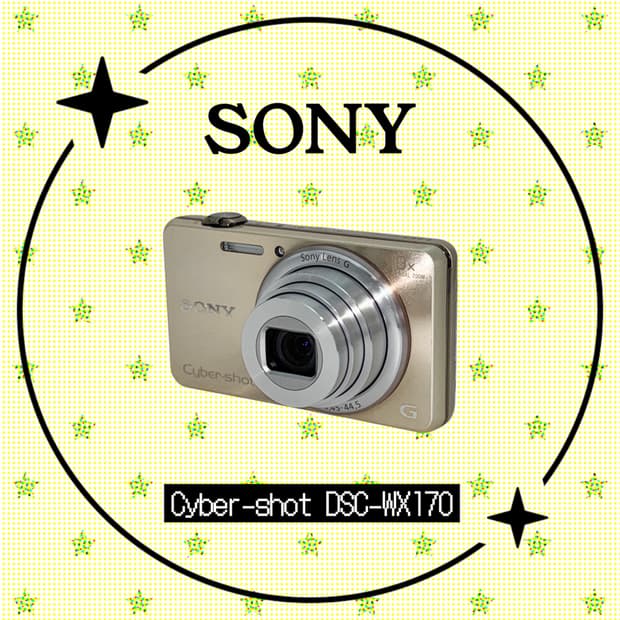 (꾸미기 기능) 소니 Sony Cyber-shot DSC-WX170