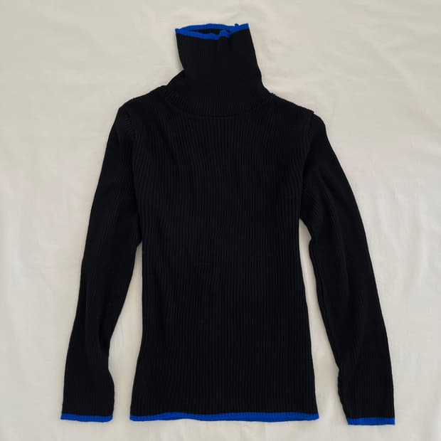 blue point turtleneck