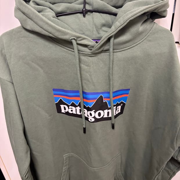 파타고니아 후드티 s
