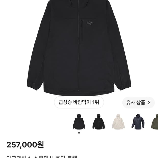 아크테릭스 스쿼미시 블랙 s