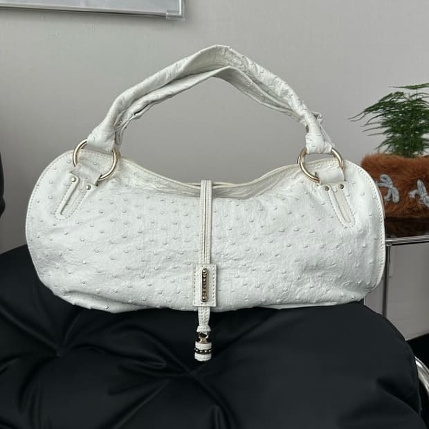 셀린느 타조 엠보 호보백