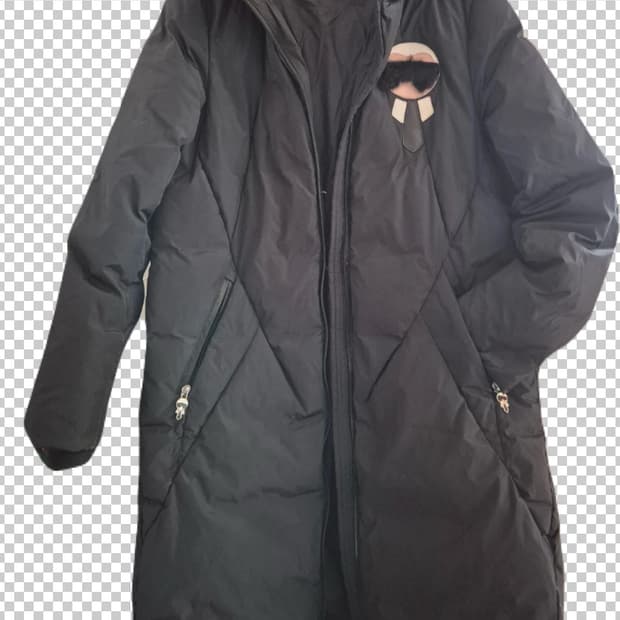 펜디 구스 다운 여자 롱패딩 팔아요 