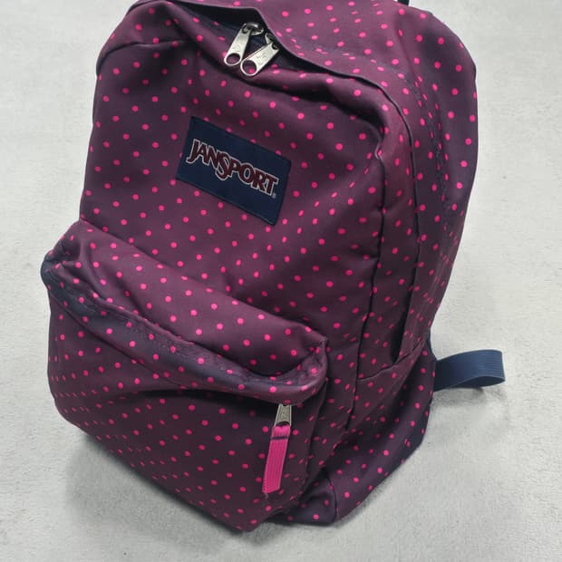 Jansport 잔스포츠 y2k 땡땡이 백팩