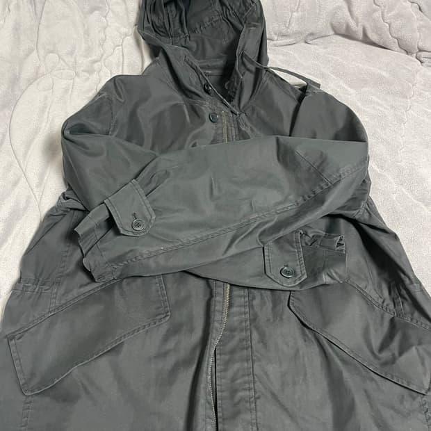 폴리테루 피쉬테일